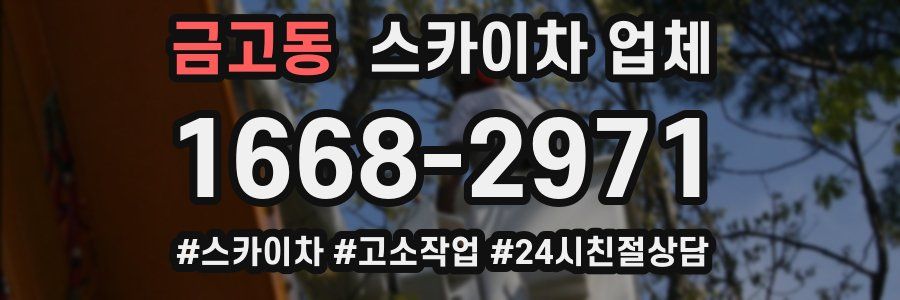 금고동 스카이차 업체