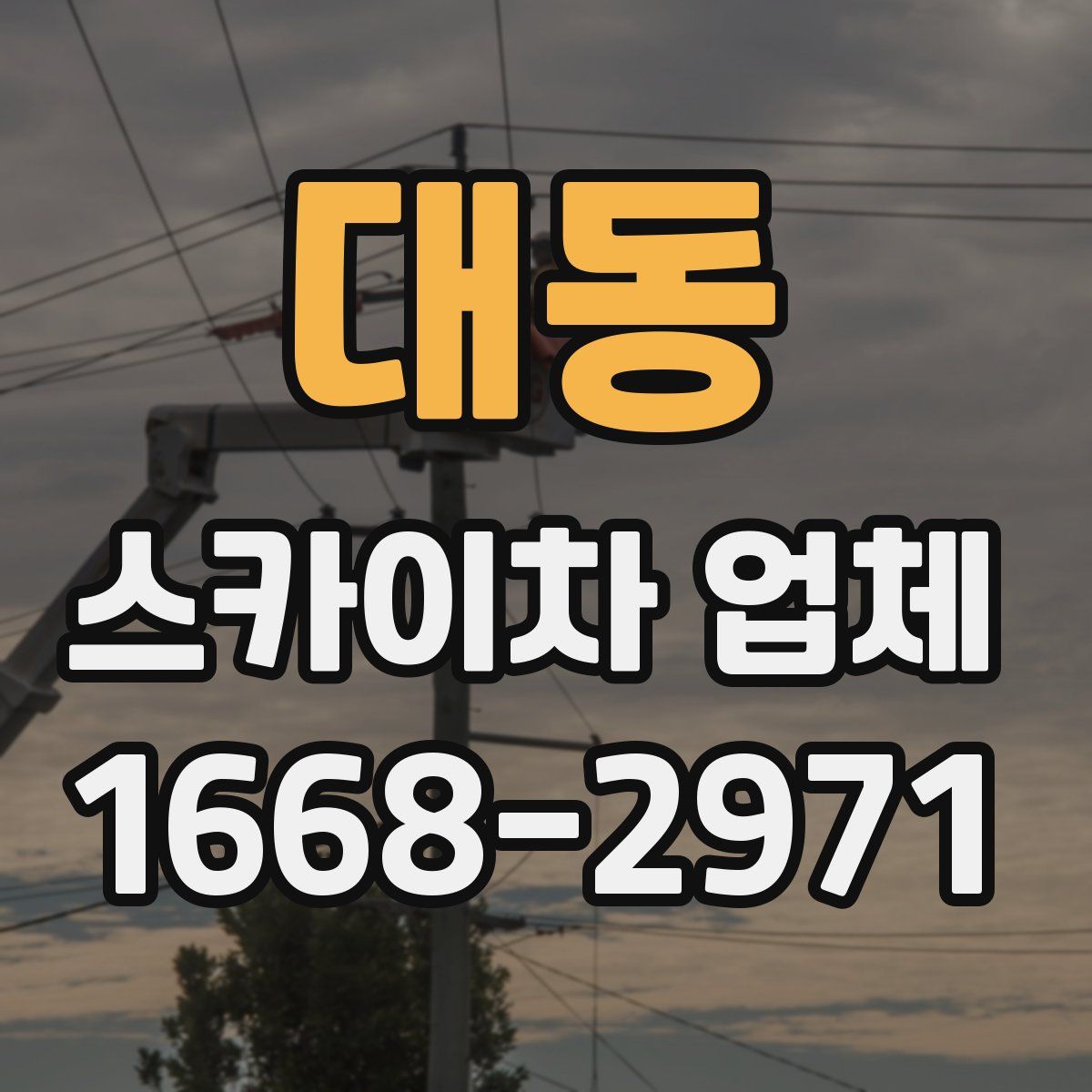 대동 스카이차 업체