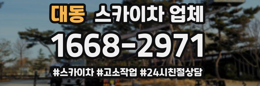 대동 스카이차 업체