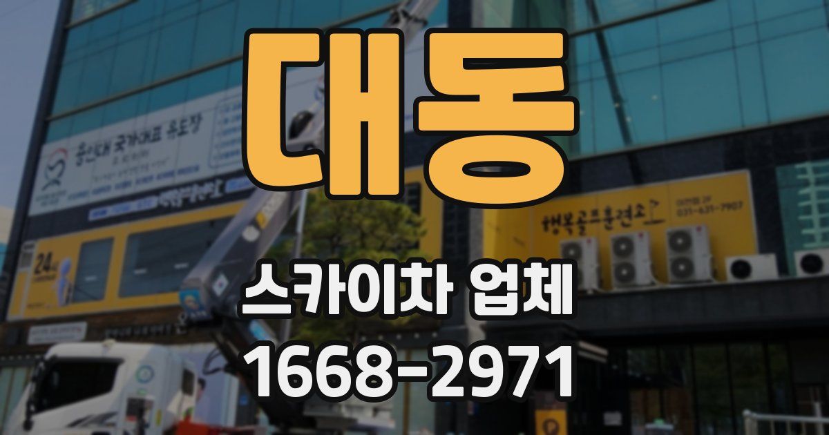 대동 스카이차 업체