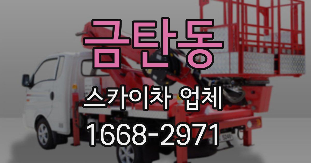 금탄동 스카이차 업체