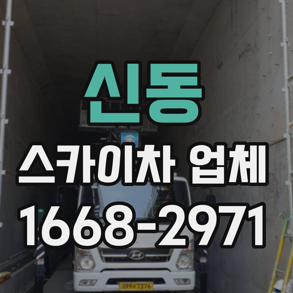 신동 스카이차 업체