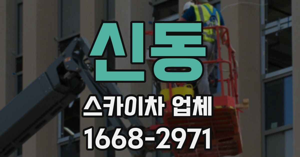 신동 스카이차 업체