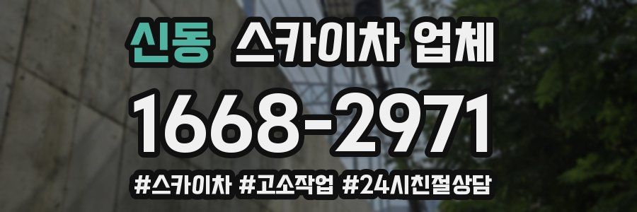 신동 스카이차 업체