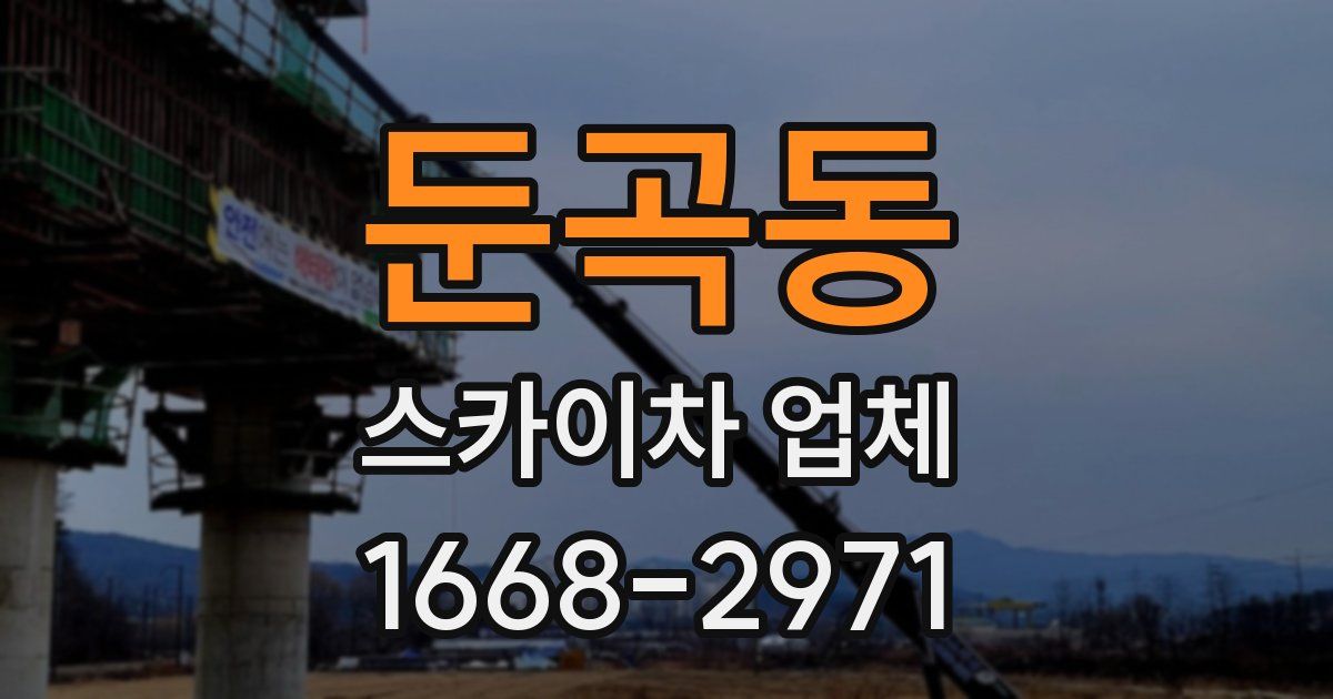 둔곡동 스카이차 업체