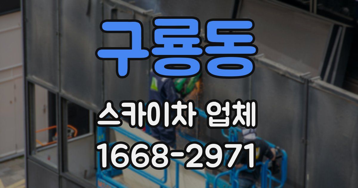 구룡동 스카이차 업체