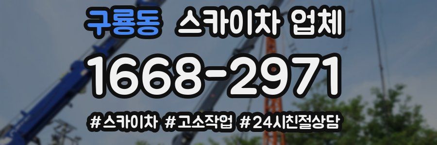 구룡동 스카이차 업체