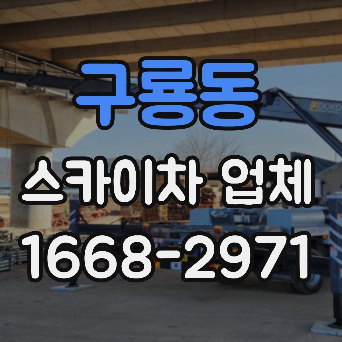 구룡동 스카이차 업체