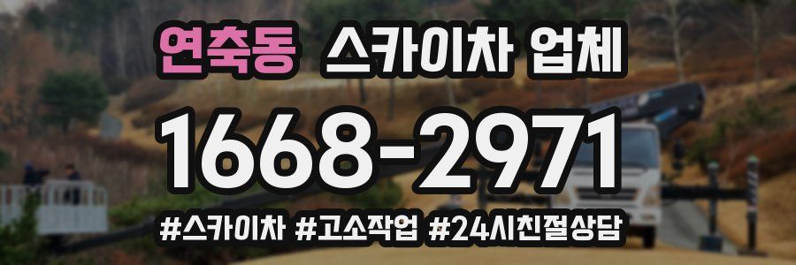 연축동 스카이차 업체