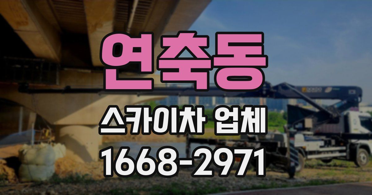 연축동 스카이차 업체