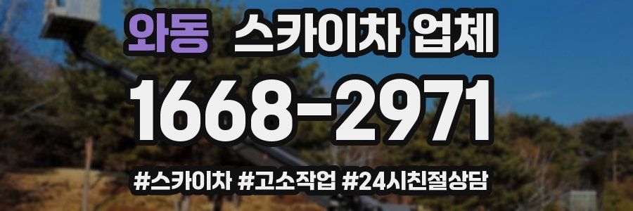 와동 스카이차 업체