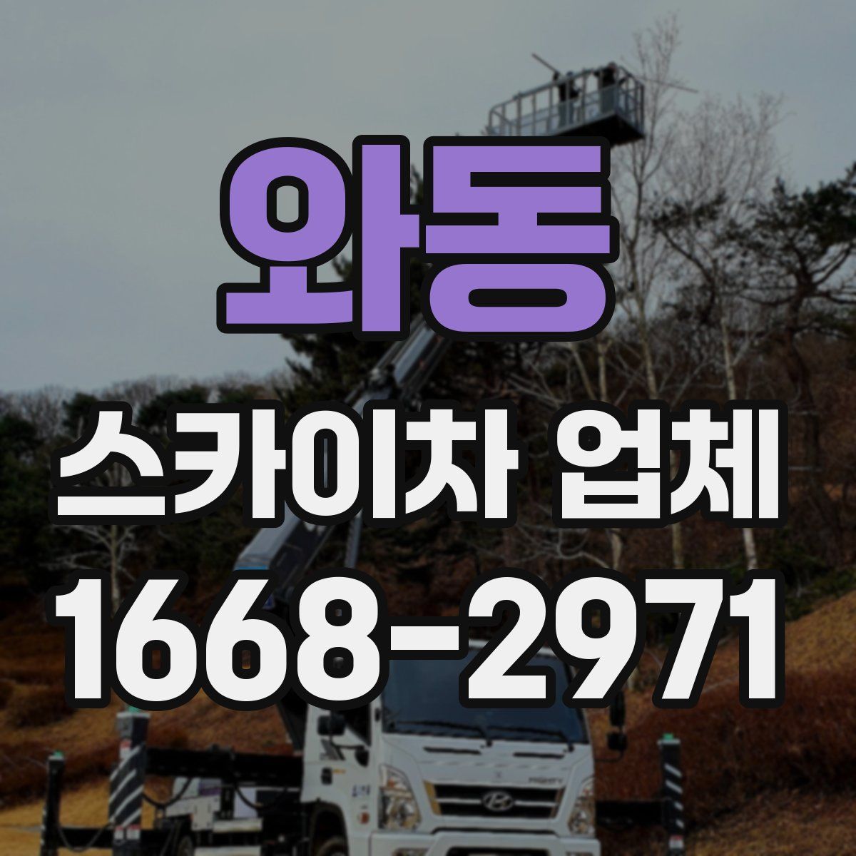 와동 스카이차 업체