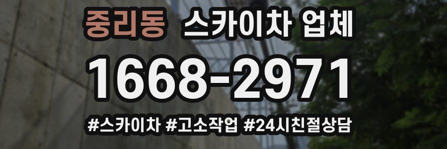 중리동 스카이차 업체
