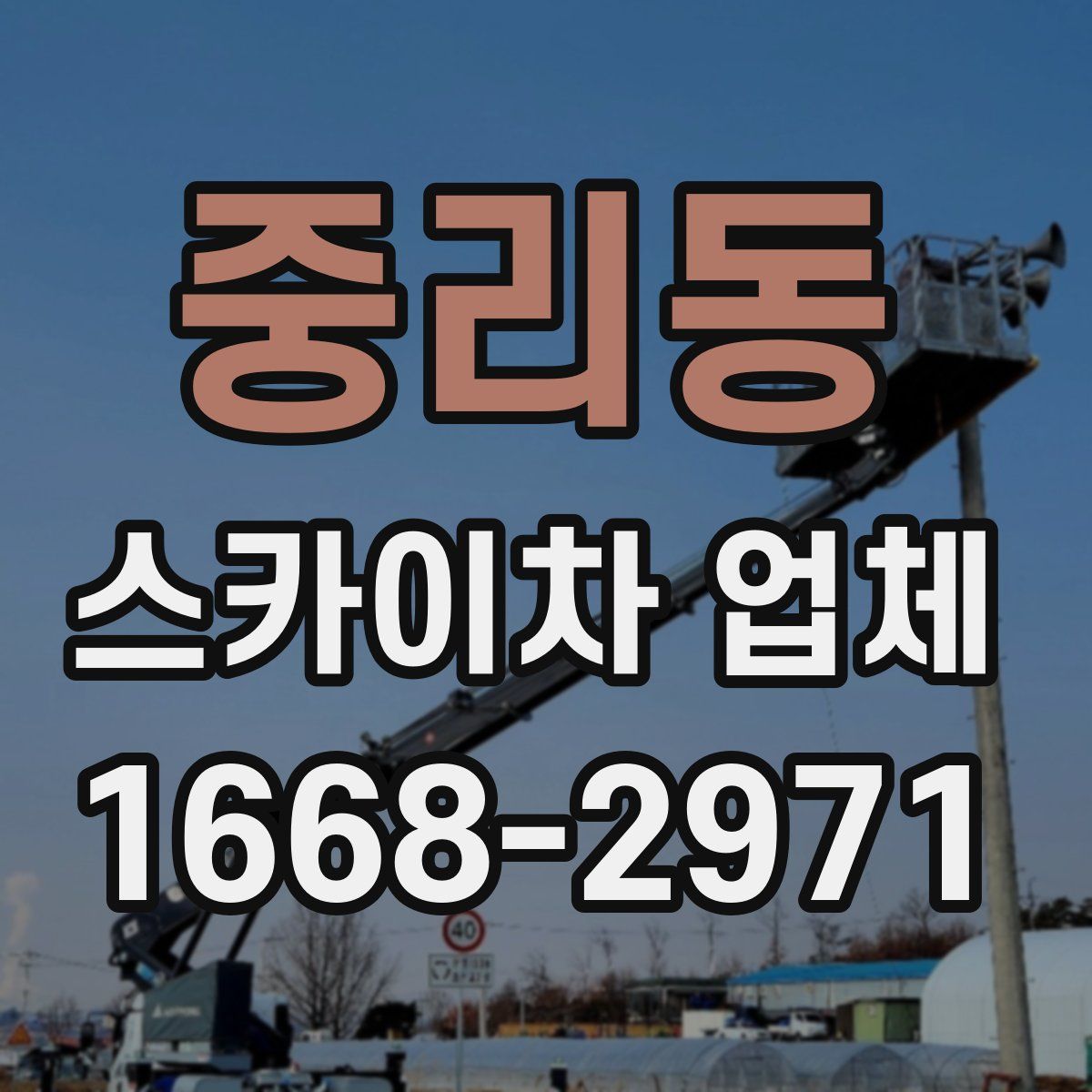 중리동 스카이차 업체