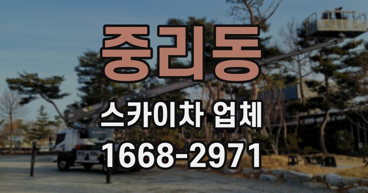 중리동 스카이차 업체