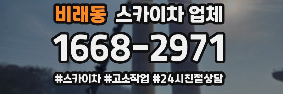 비래동 스카이차 업체