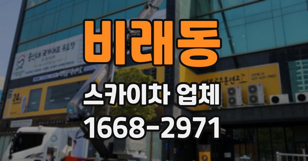 비래동 스카이차 업체
