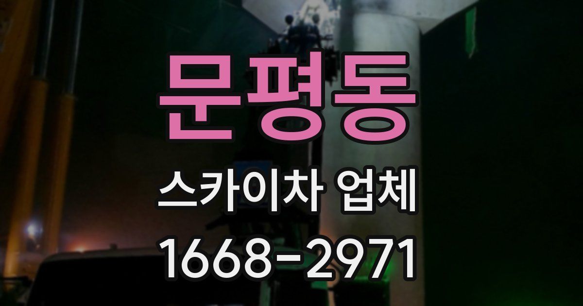 문평동 스카이차 업체