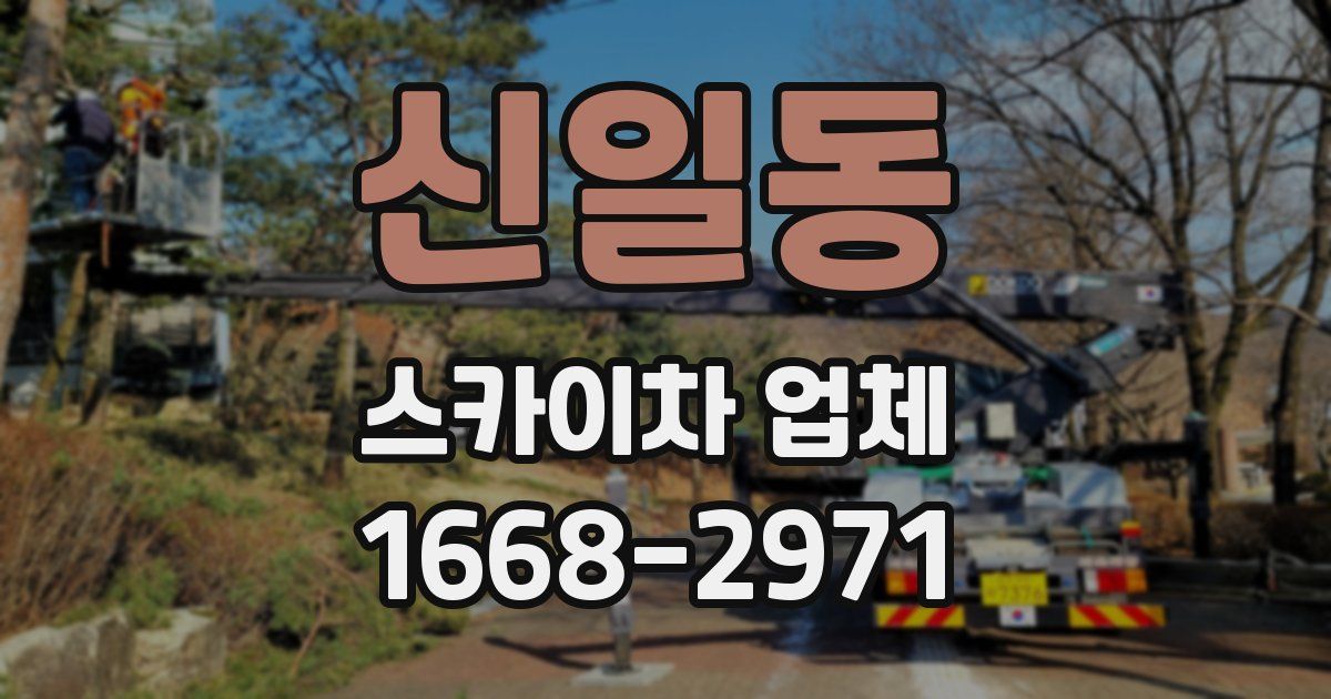 신일동 스카이차 업체
