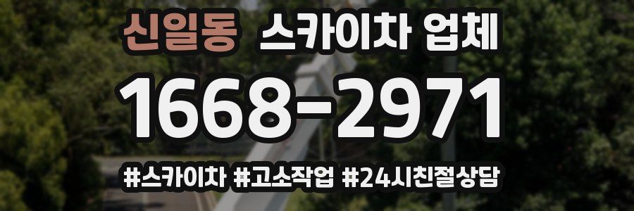 신일동 스카이차 업체