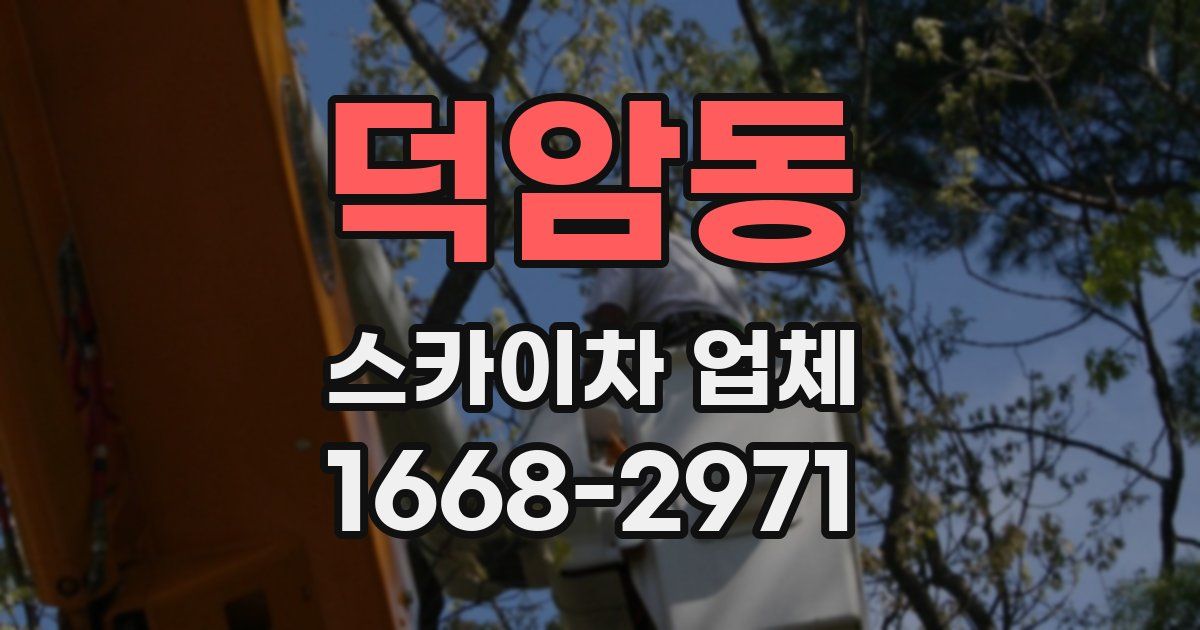 덕암동 스카이차 업체