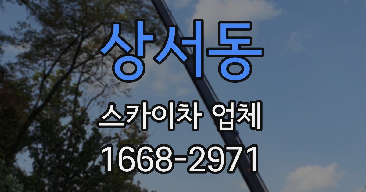 상서동 스카이차 업체