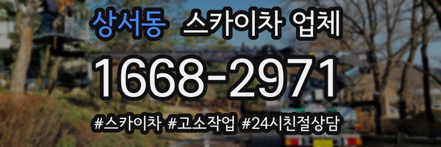 상서동 스카이차 업체