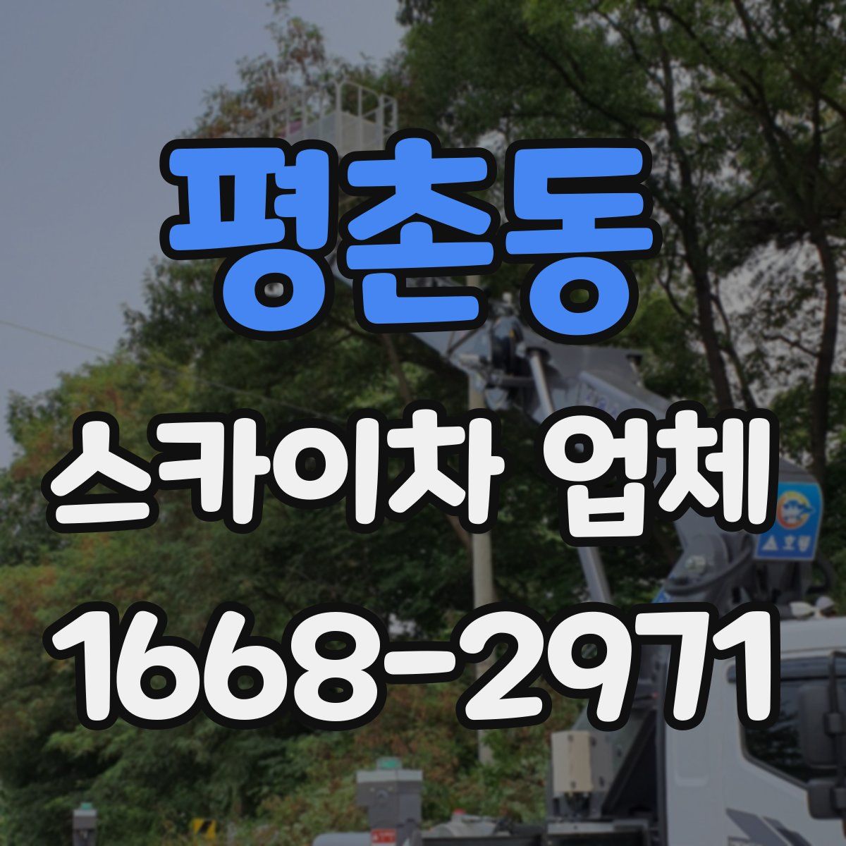 평촌동 스카이차 업체