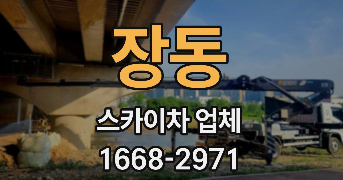 장동 스카이차 업체