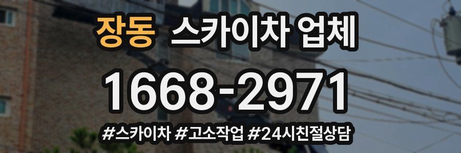 장동 스카이차 업체