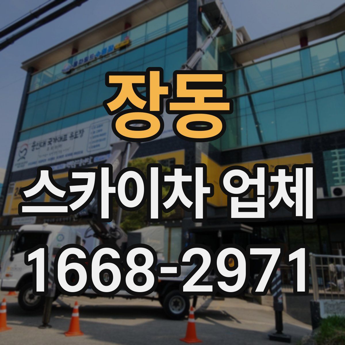 장동 스카이차 업체