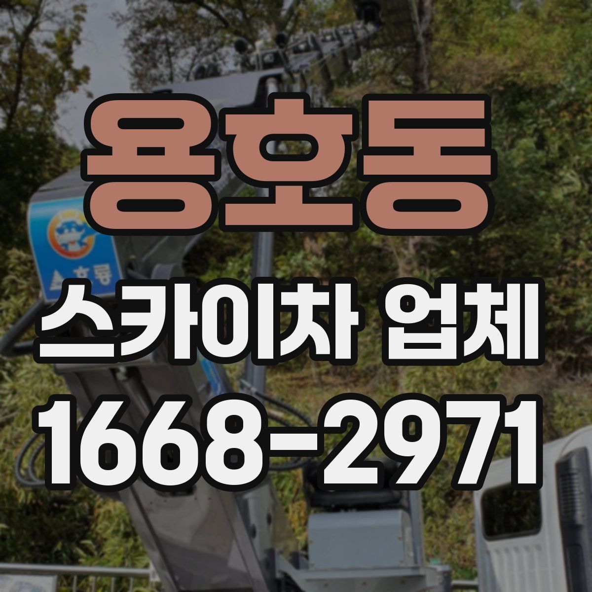 용호동 스카이차 업체