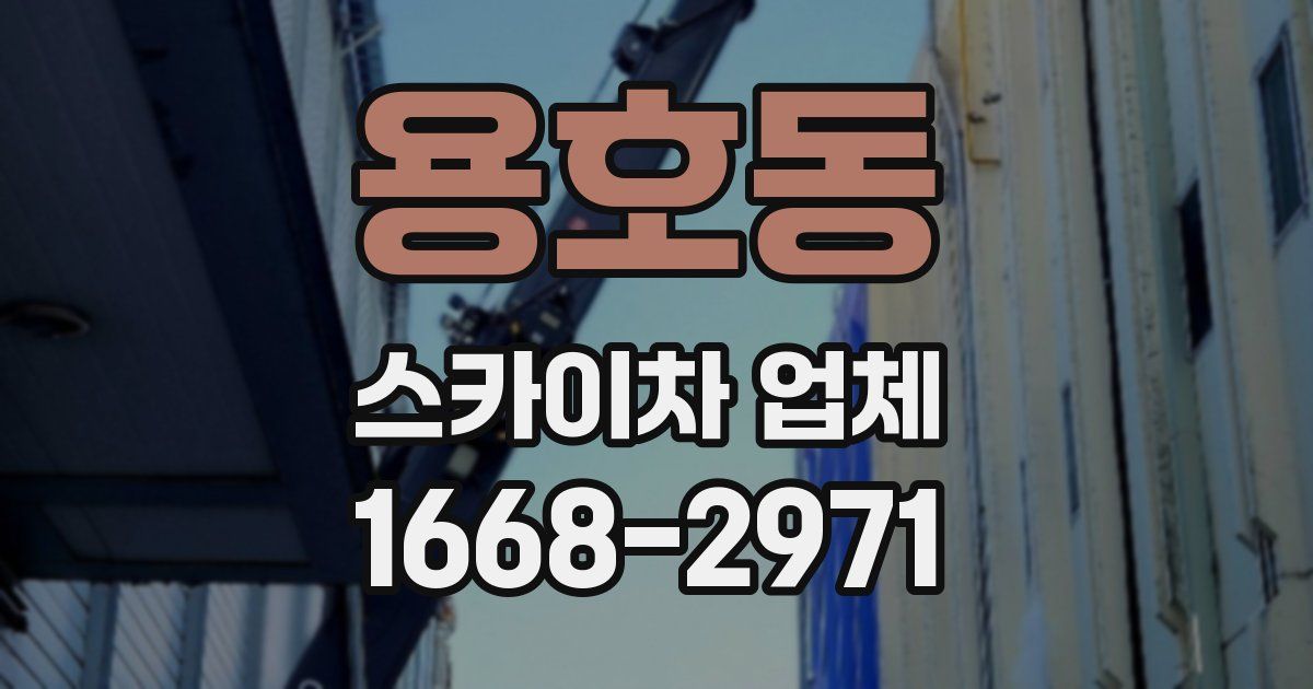용호동 스카이차 업체