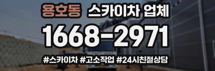 용호동 스카이차 업체