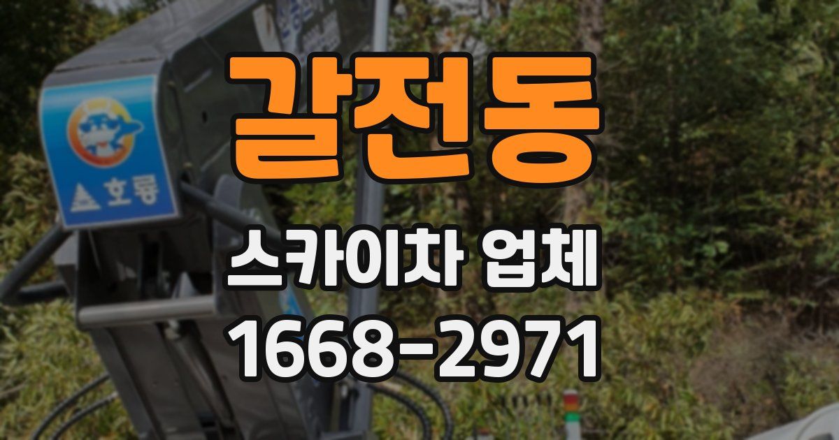 갈전동 스카이차 업체