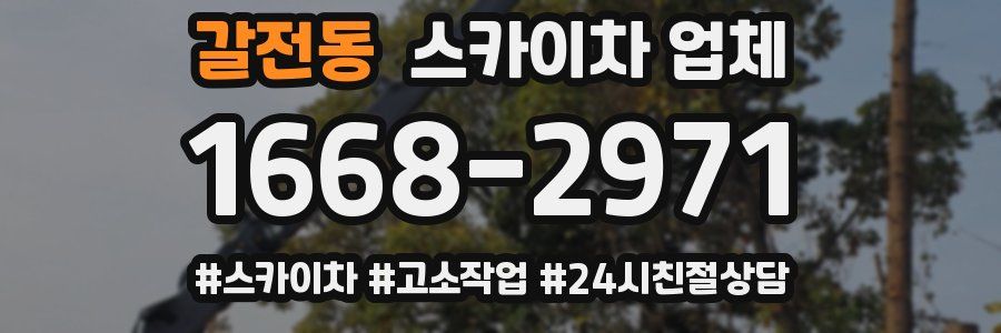 갈전동 스카이차 업체