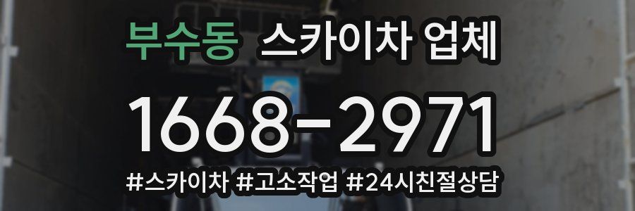 부수동 스카이차 업체