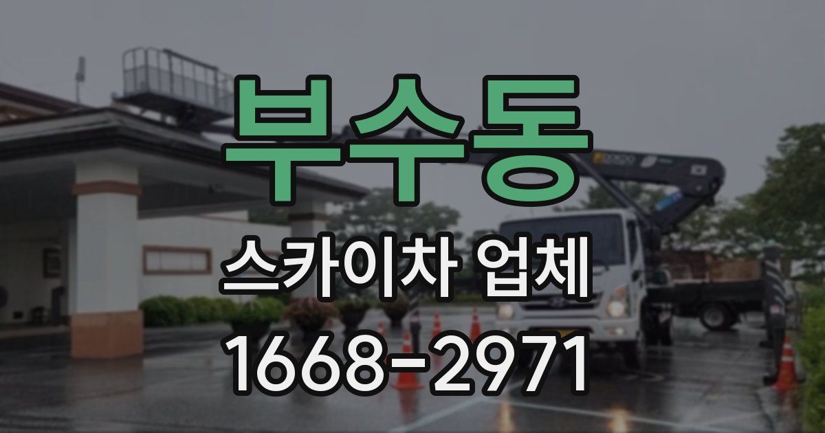 부수동 스카이차 업체