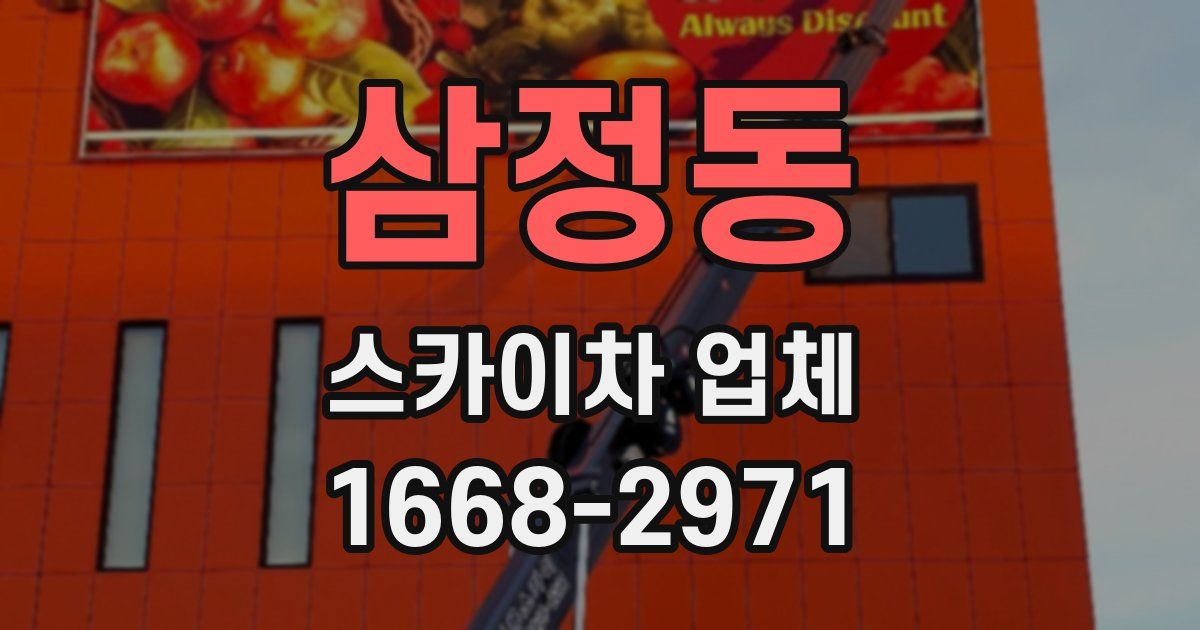 삼정동 스카이차 업체