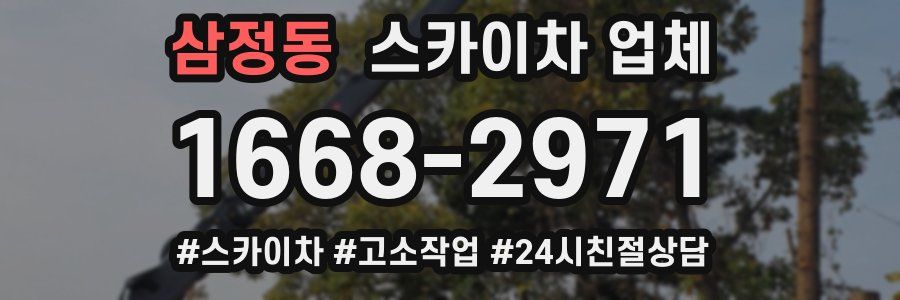 삼정동 스카이차 업체