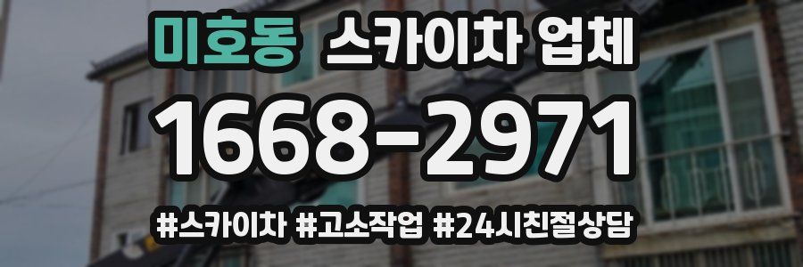 미호동 스카이차 업체