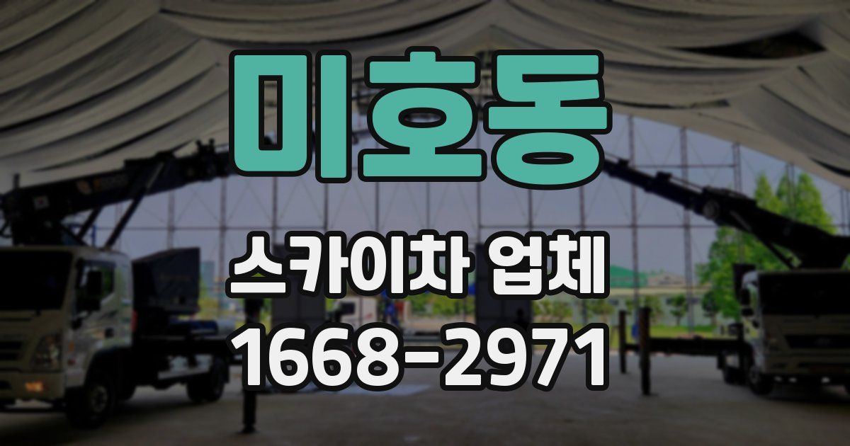 미호동 스카이차 업체