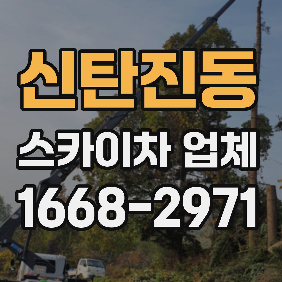 신탄진동 스카이차 업체