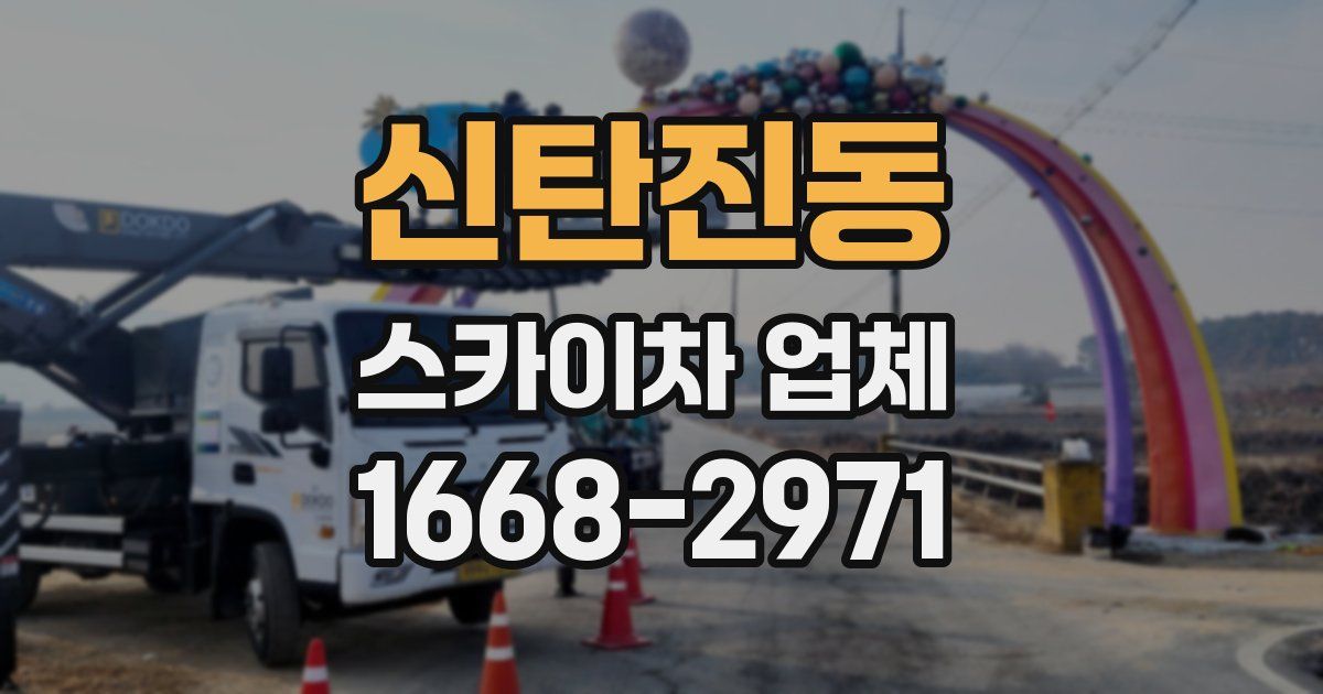 신탄진동 스카이차 업체