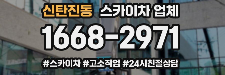 신탄진동 스카이차 업체