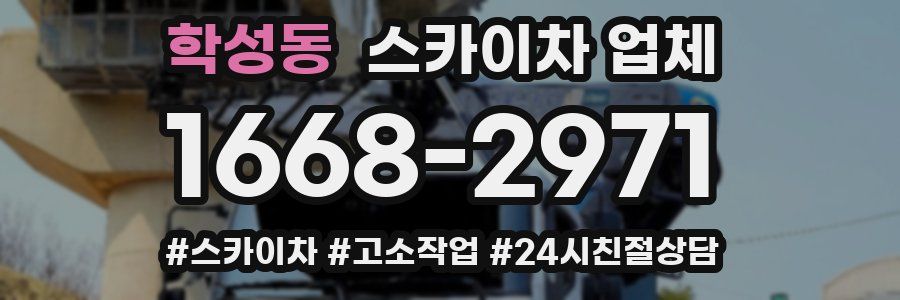 학성동 스카이차 업체