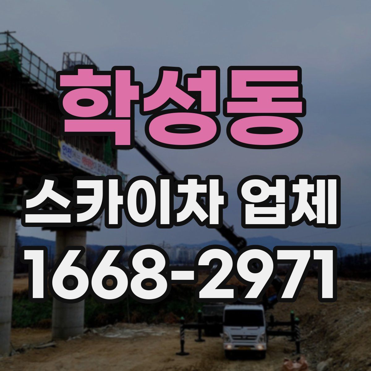 학성동 스카이차 업체
