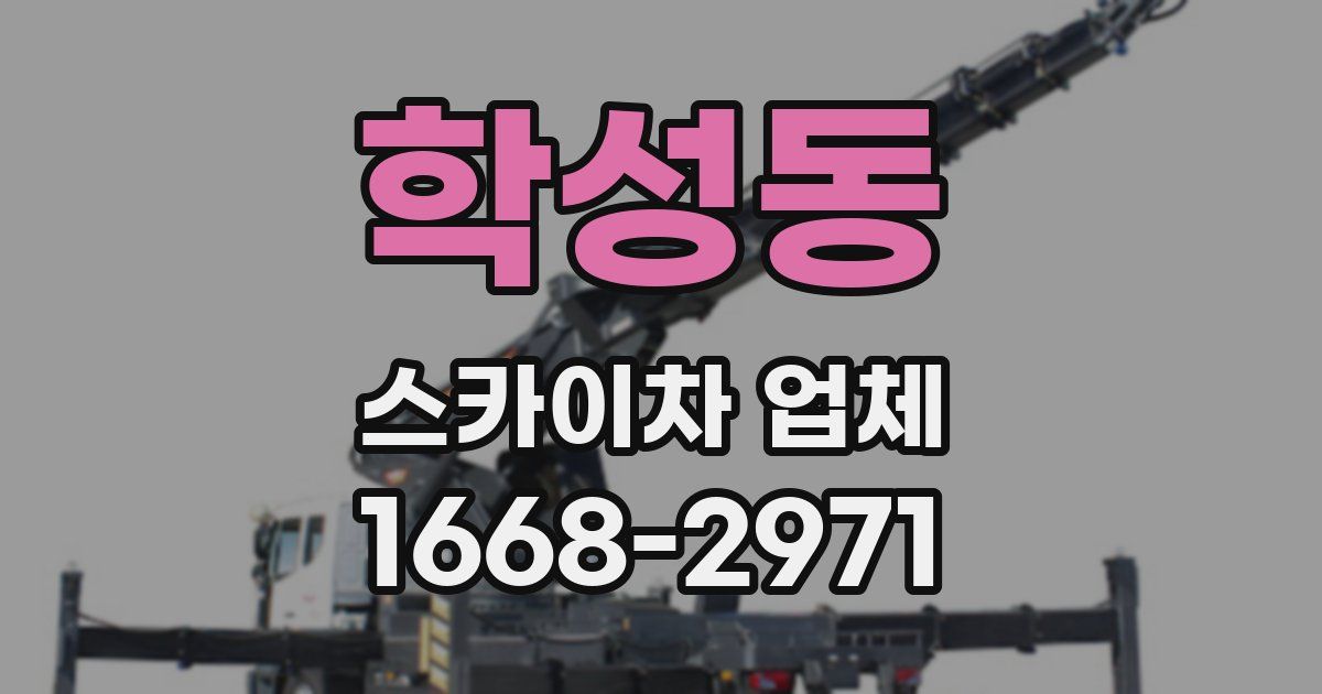 학성동 스카이차 업체
