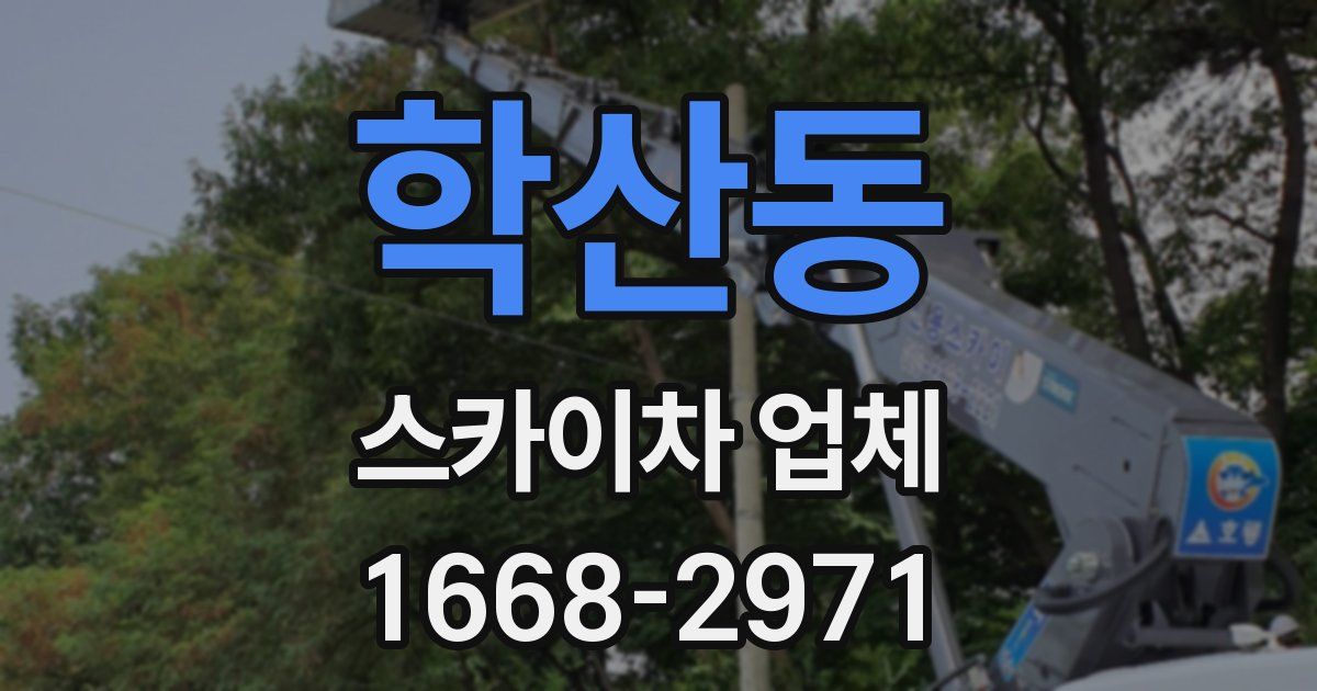 학산동 스카이차 업체