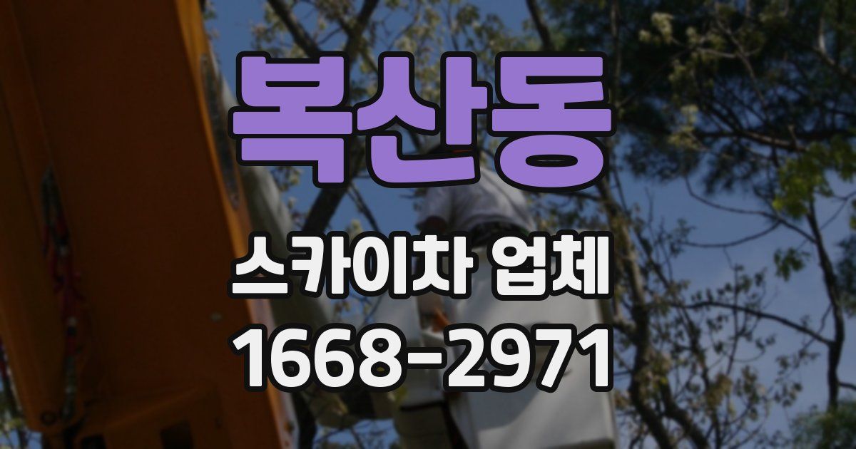 복산동 스카이차 업체